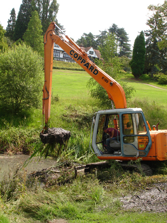 Mechanical removal of the root system.